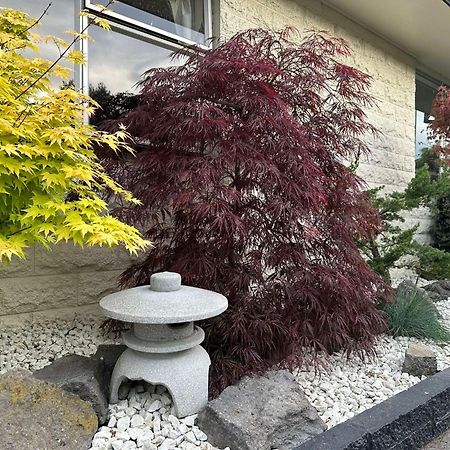 The Airport Homestay House クライストチャーチ エクステリア 写真