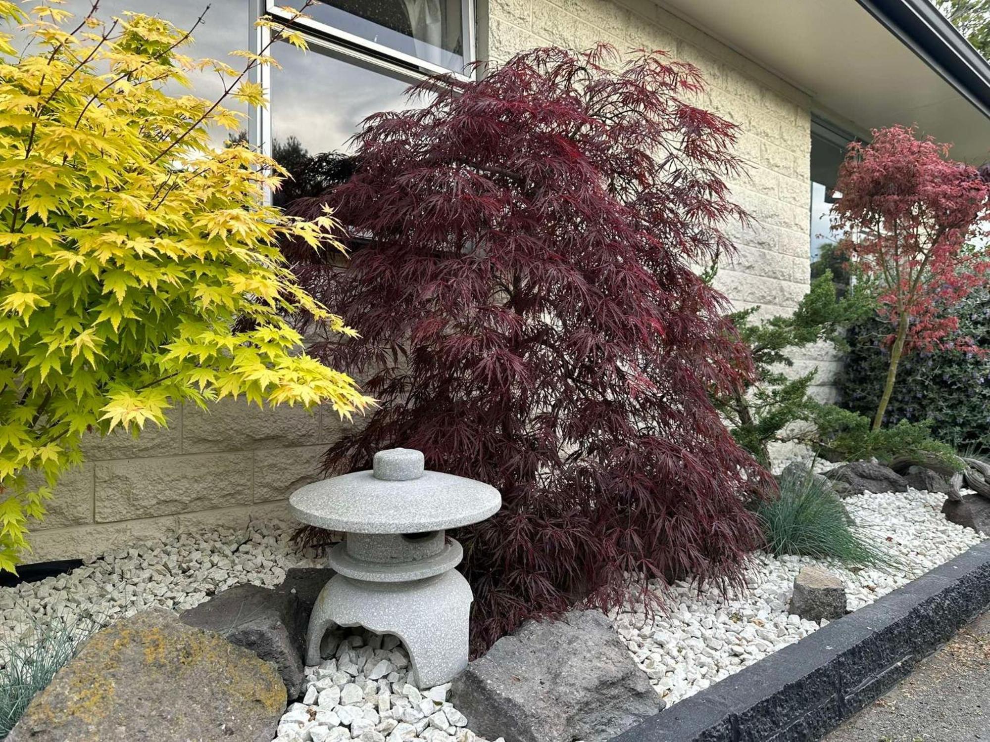 The Airport Homestay House クライストチャーチ エクステリア 写真